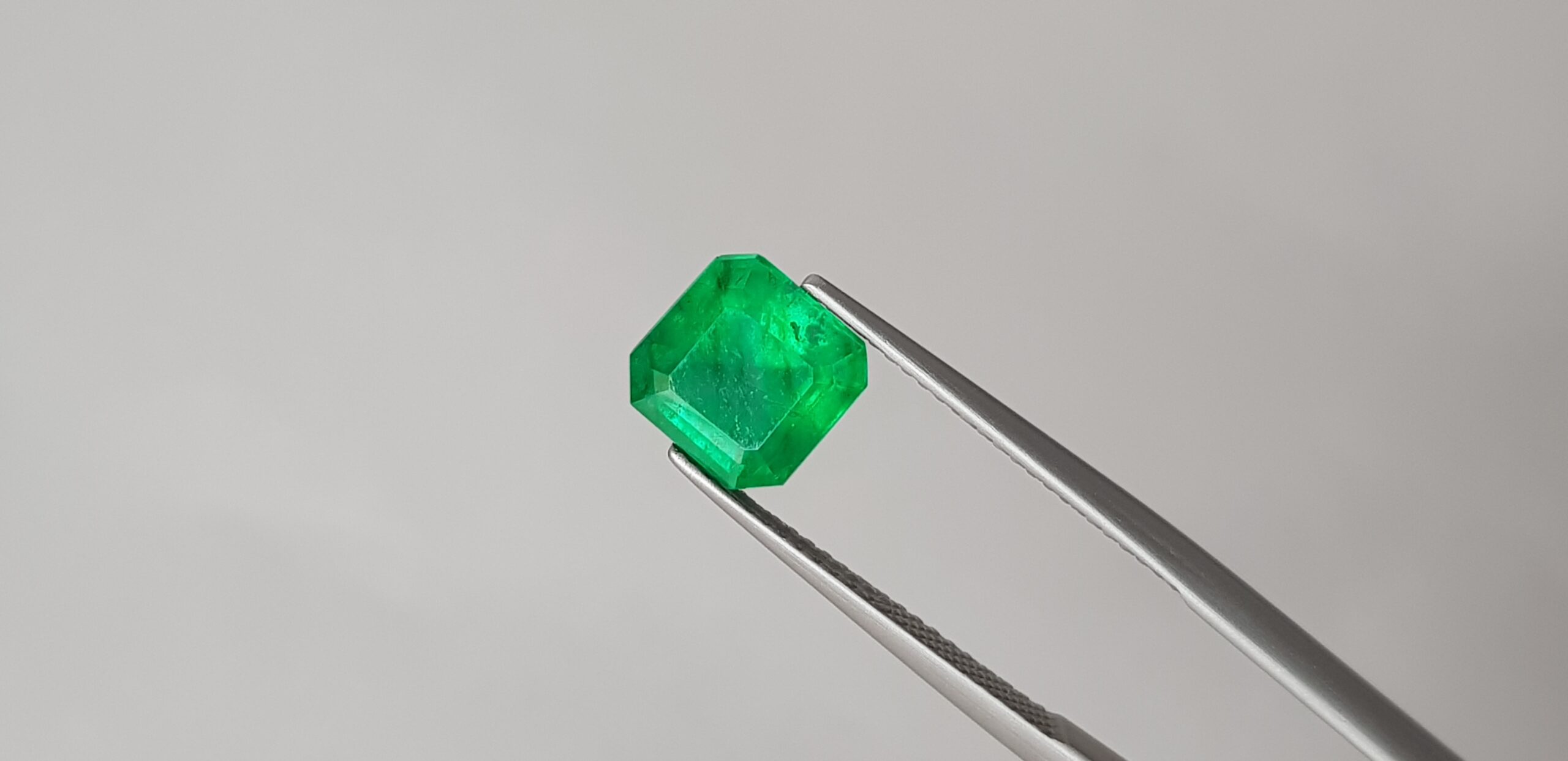 Emerald Intense Green, 2.58 cts, Pakistan